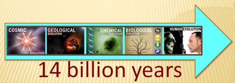 Linha do tempo evolucionista