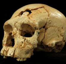 Muita imaginação e precipitação