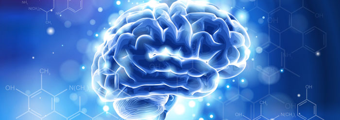 brain_more_memory_wide