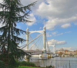Albert Bridge across the Thames in London viewed from Battersea Park